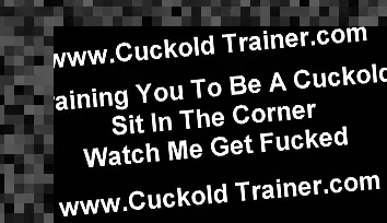 cuckold femdom humiliation