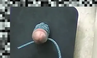 cock whipping