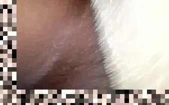 hairy ebony pussy creampie